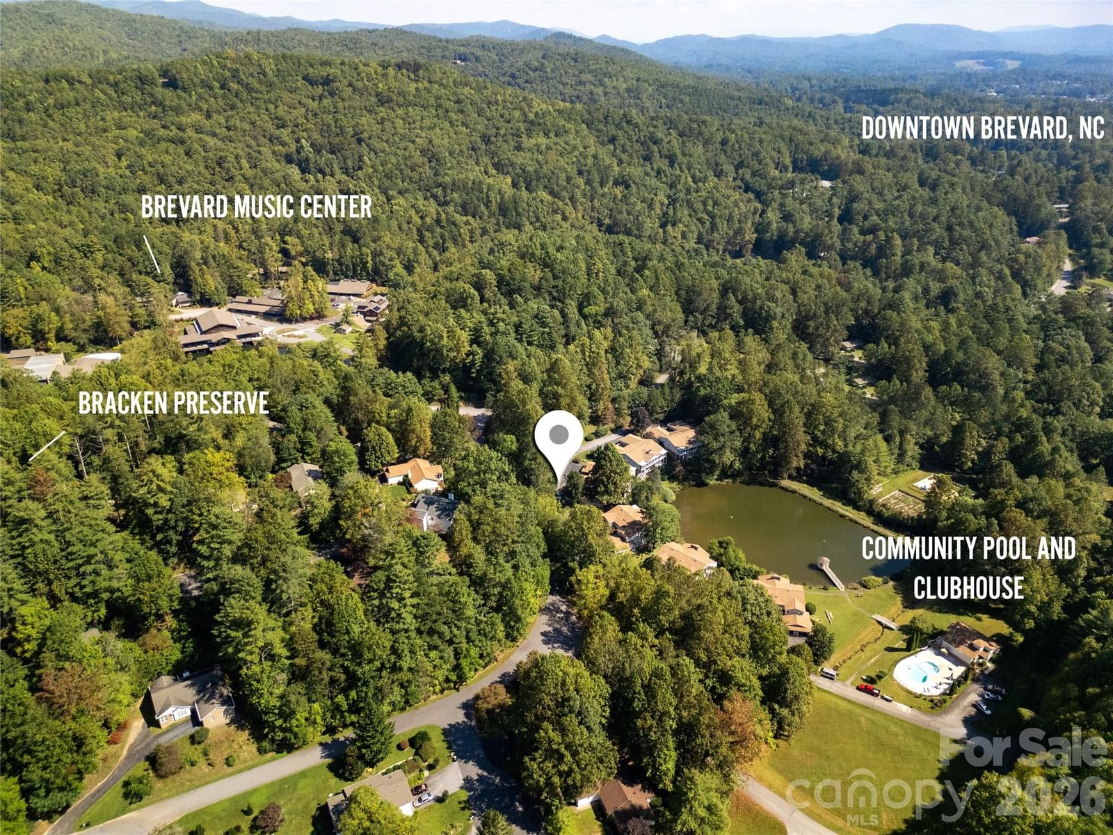 110 Lakeview Court, Brevard, NC 28712 - Photo 2