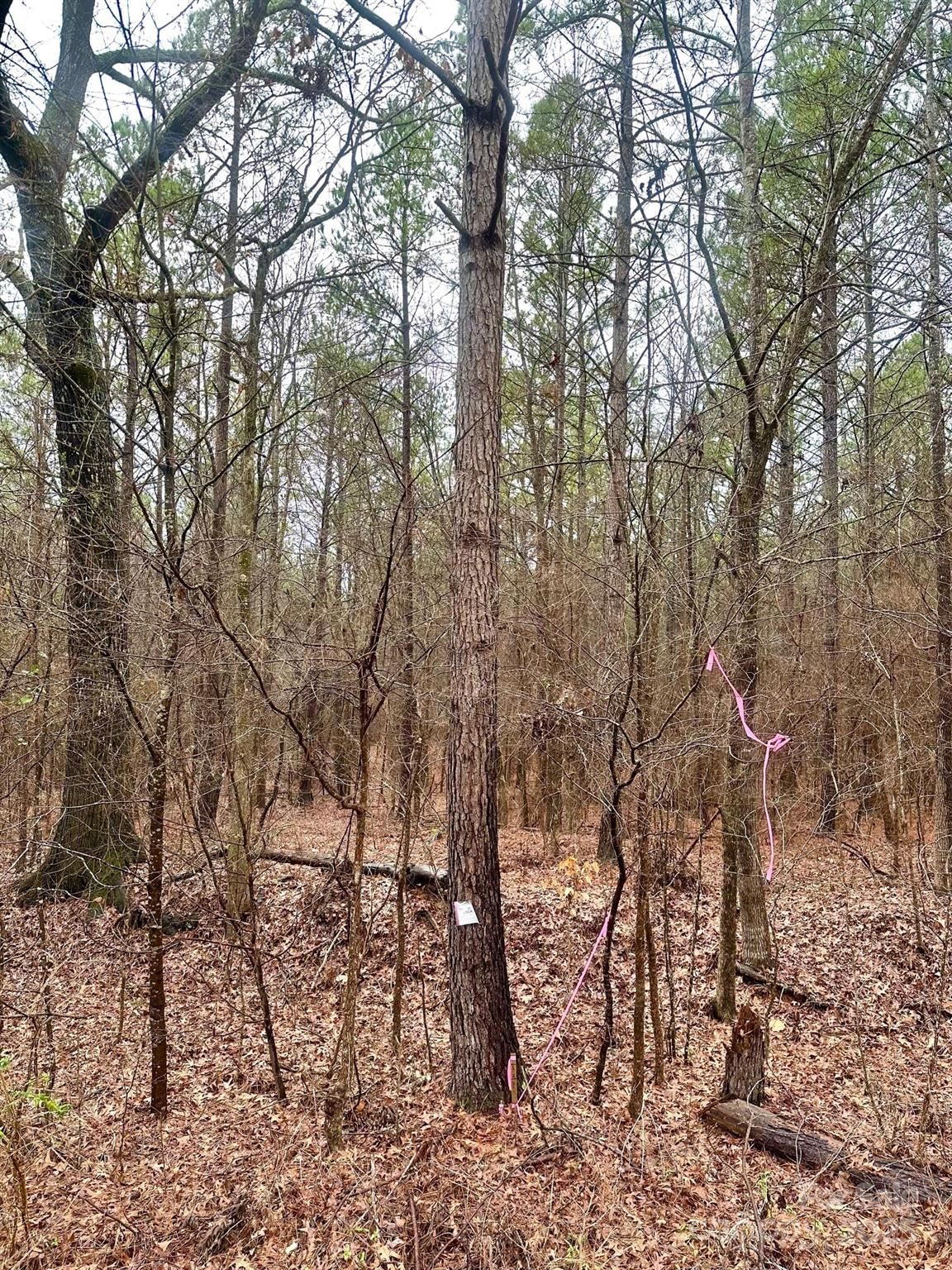 Property at 1176 Great Falls, Chester, SC 29706