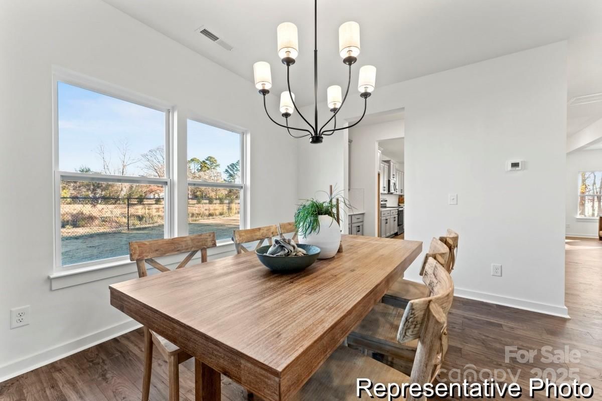 1743 Autumn Banks Way #73p, High Shoals, NC 28077 - Photo 4