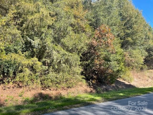 Property at 0 Deep Springs, Peachland, NC 28133