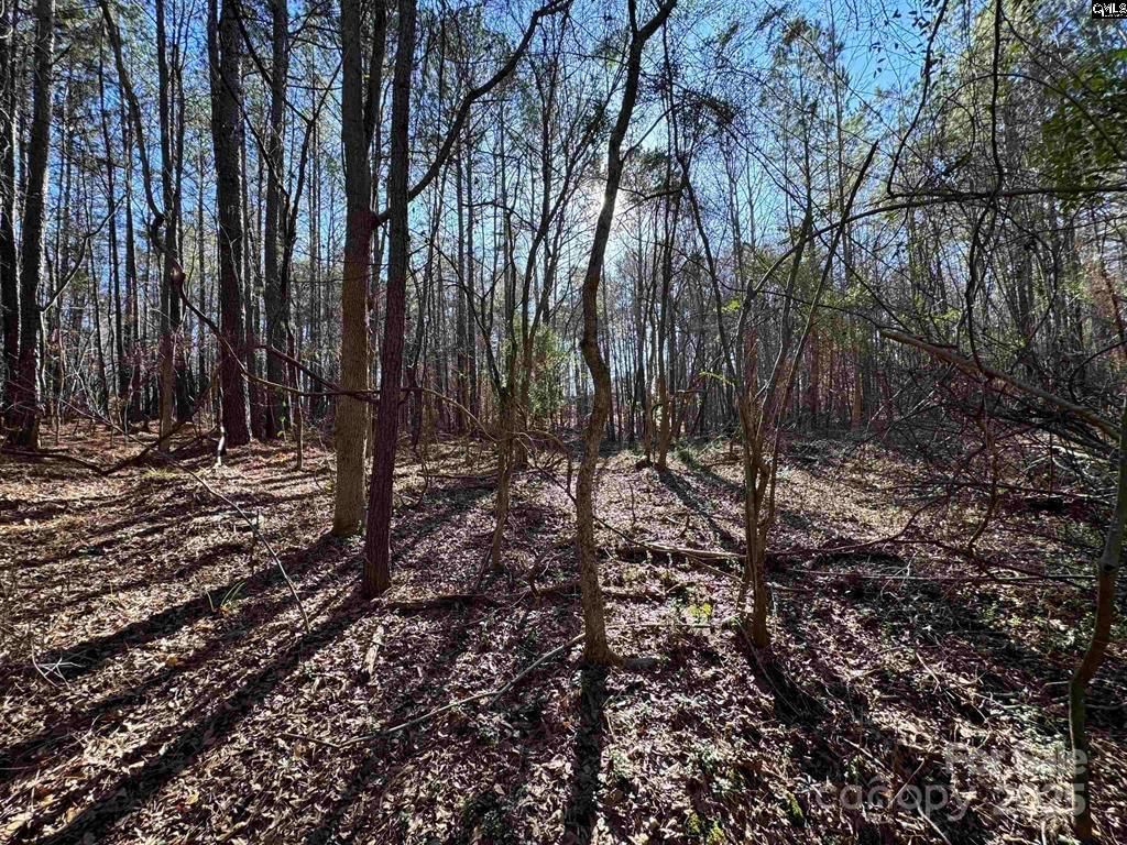 Property at TBD Theron Circle, Lancaster, SC 29720