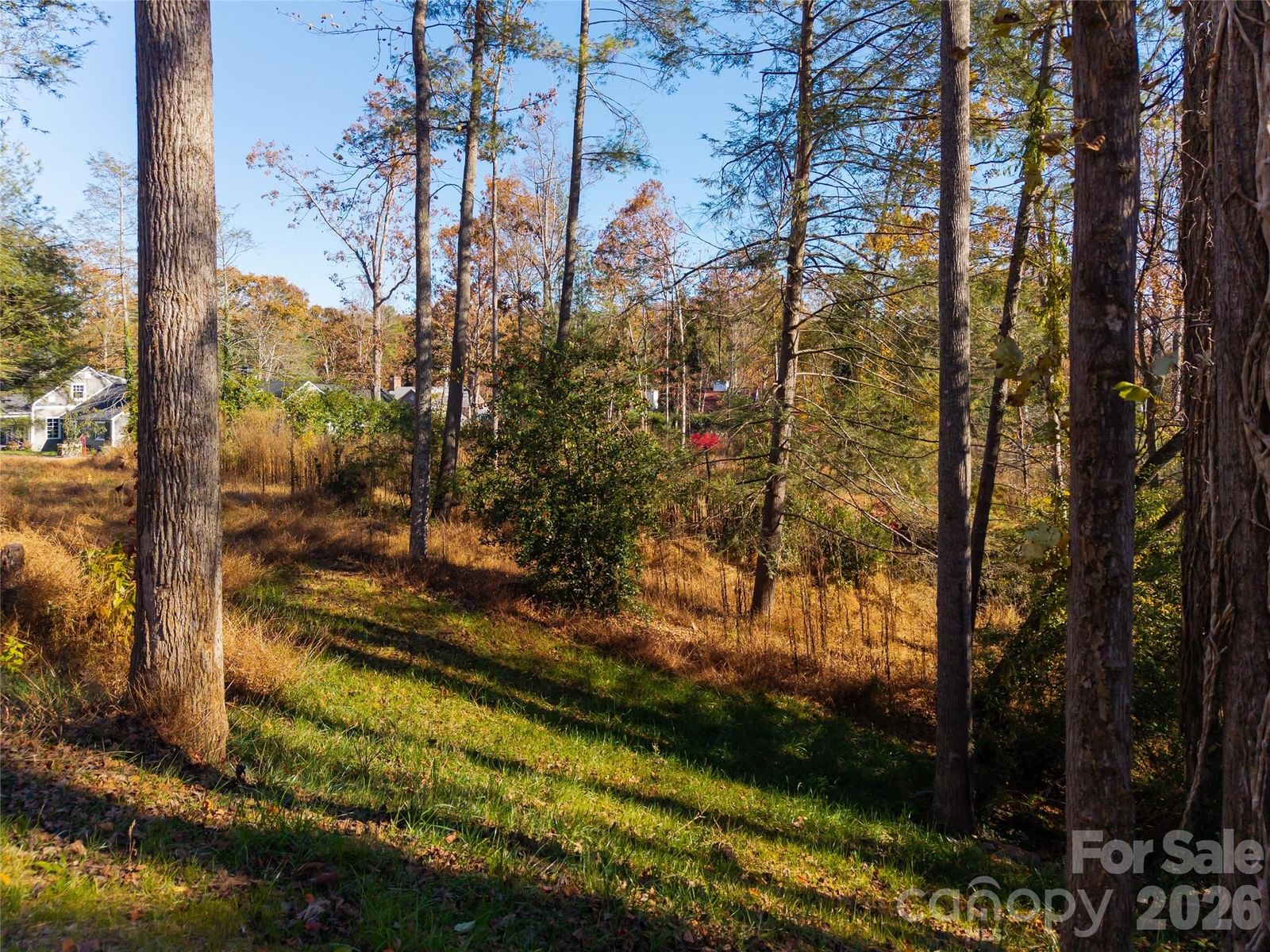 50 Forest Road, Asheville, NC 28803 - Photo 3