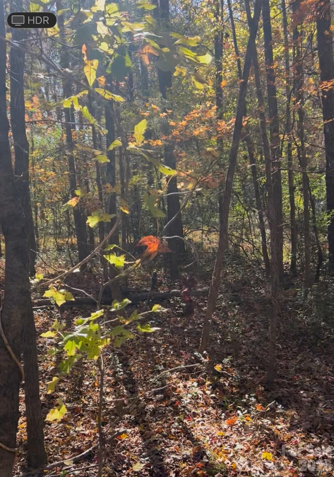 Property at 0 Snuggs Park Road, Albemarle, NC 28001