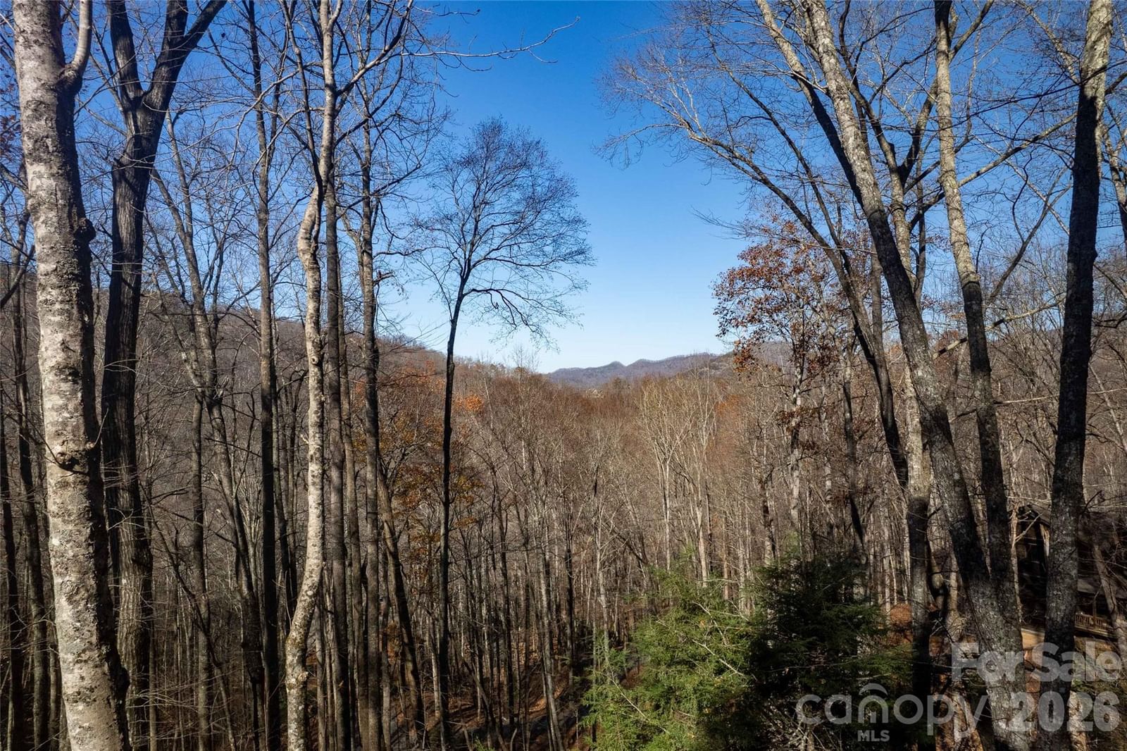 126 Mossycup Court, Tuckasegee, NC 28783 - Photo 2