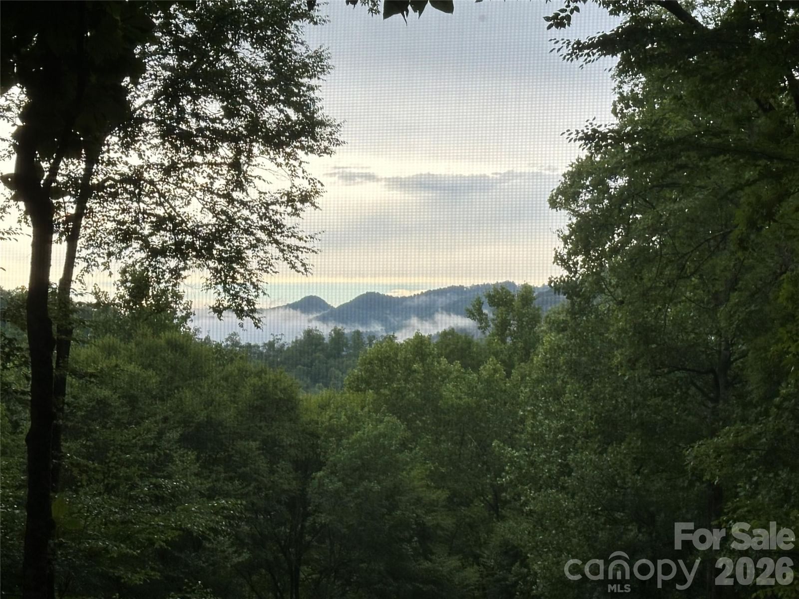 126 Mossycup Court, Tuckasegee, NC 28783 - Photo 4