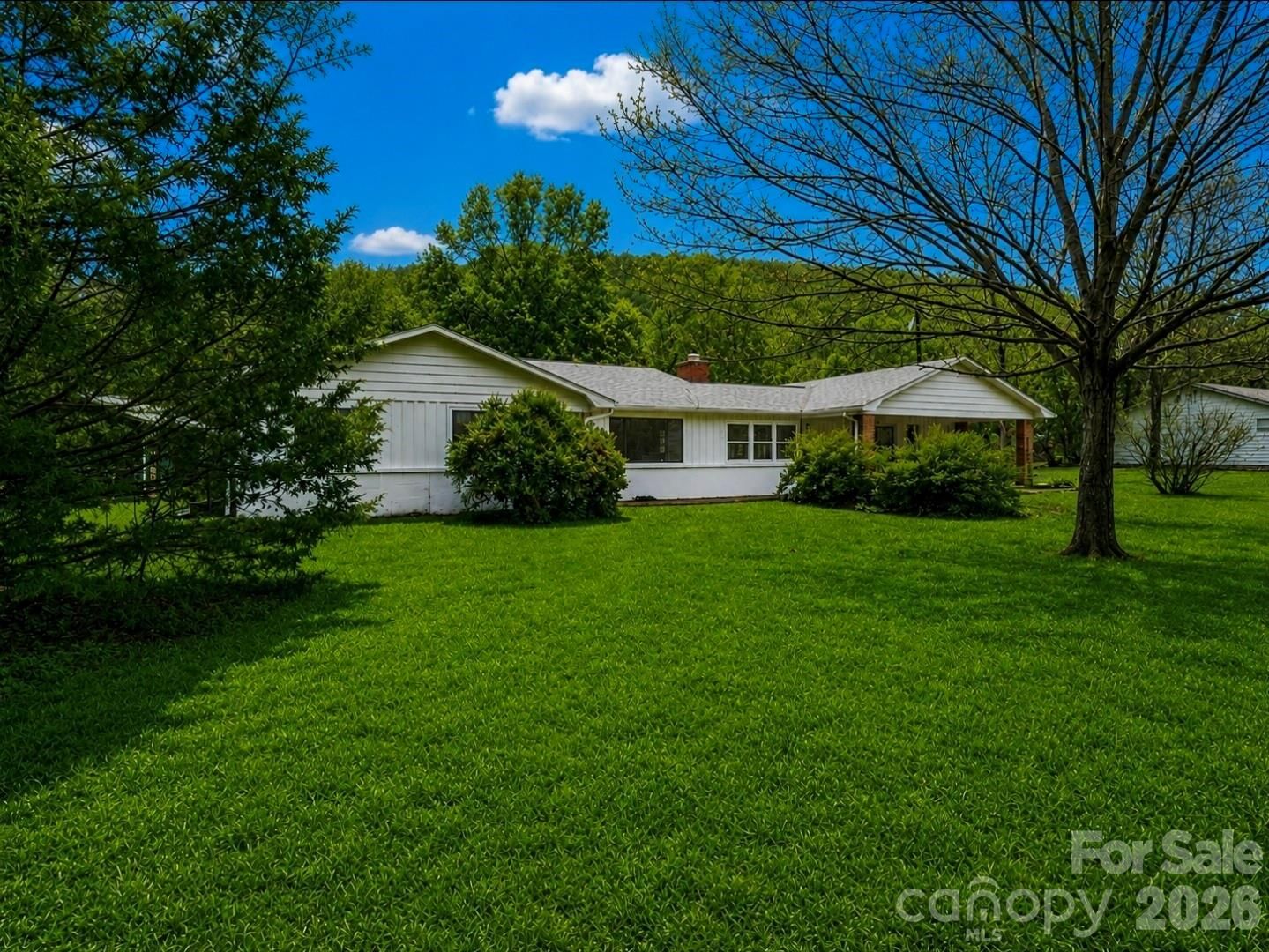 109 Wall Road, Tryon, NC 28782 - Photo 2