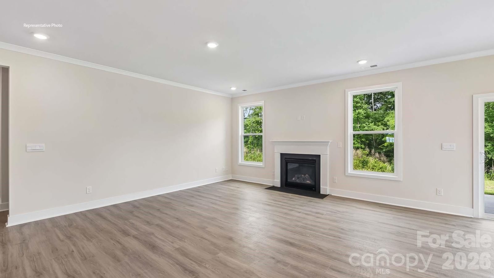 1003 Tundra Swan Drive, Indian Trail, NC 28079 - Photo 3
