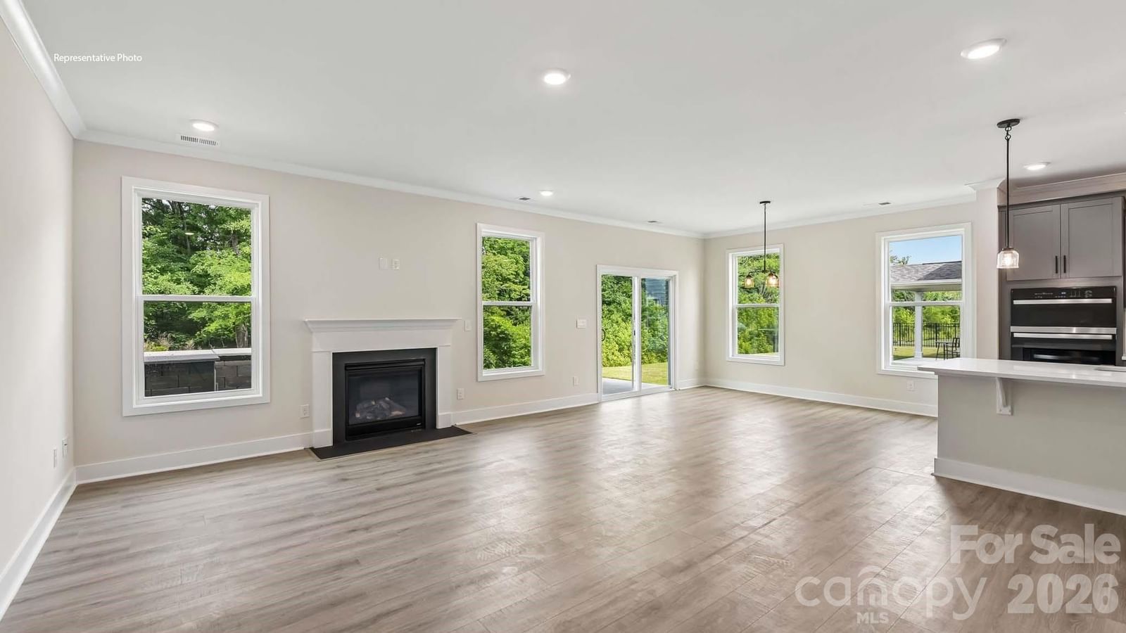 1003 Tundra Swan Drive, Indian Trail, NC 28079 - Photo 4