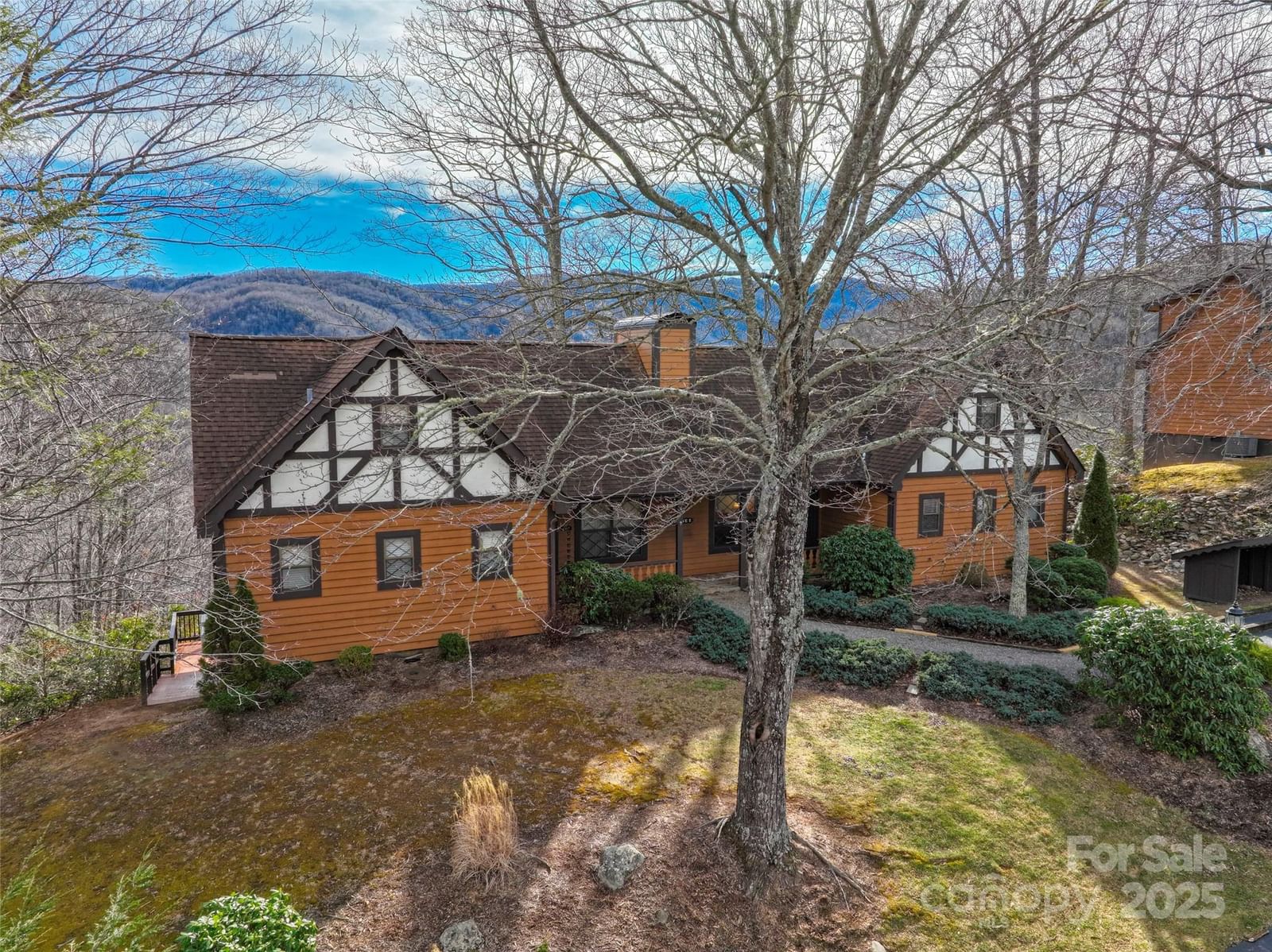 383 Overlook Drive #Alpine 2, Burnsville, NC 28714 - Photo 4