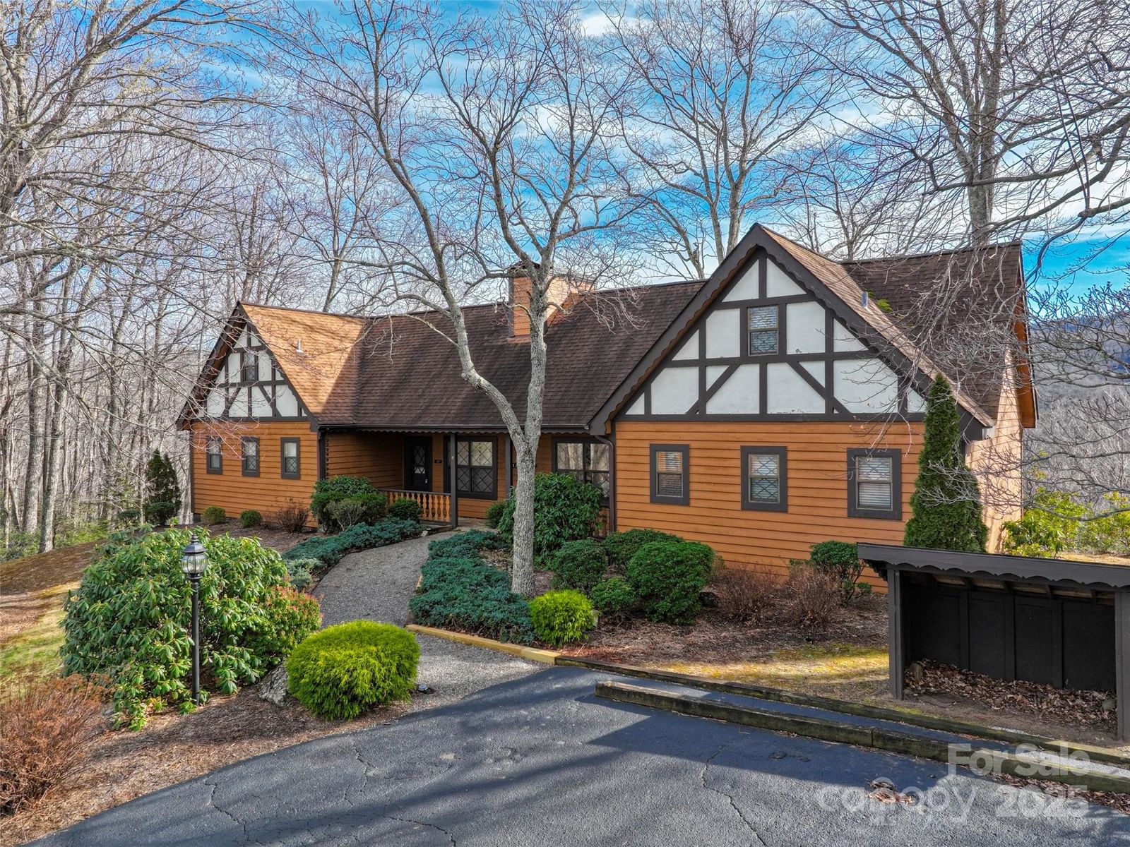 383 Overlook Drive #Alpine 2, Burnsville, NC 28714 - Photo 5