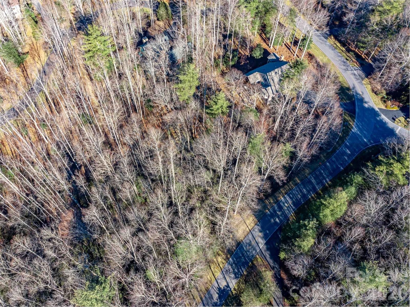 000 Chattooga Run #306, Hendersonville, NC 28739 - Photo 3