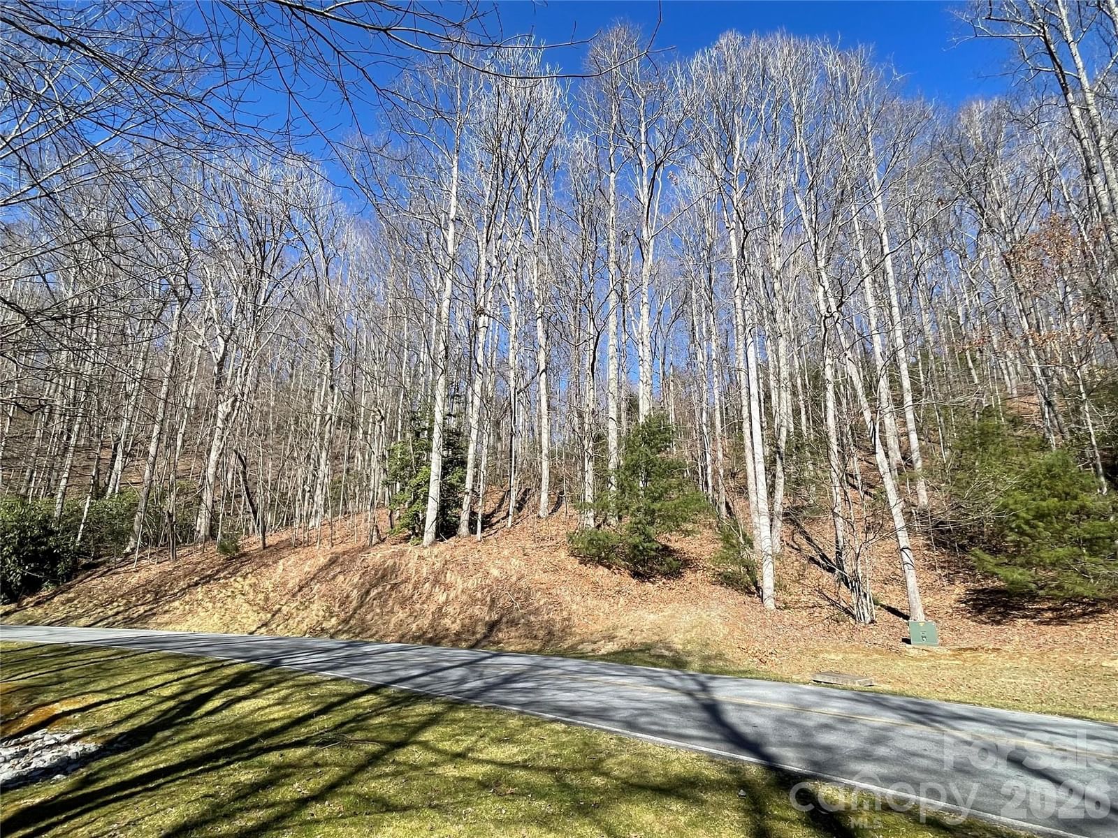 00 Chattooga Run #292R, Hendersonville, NC 28739