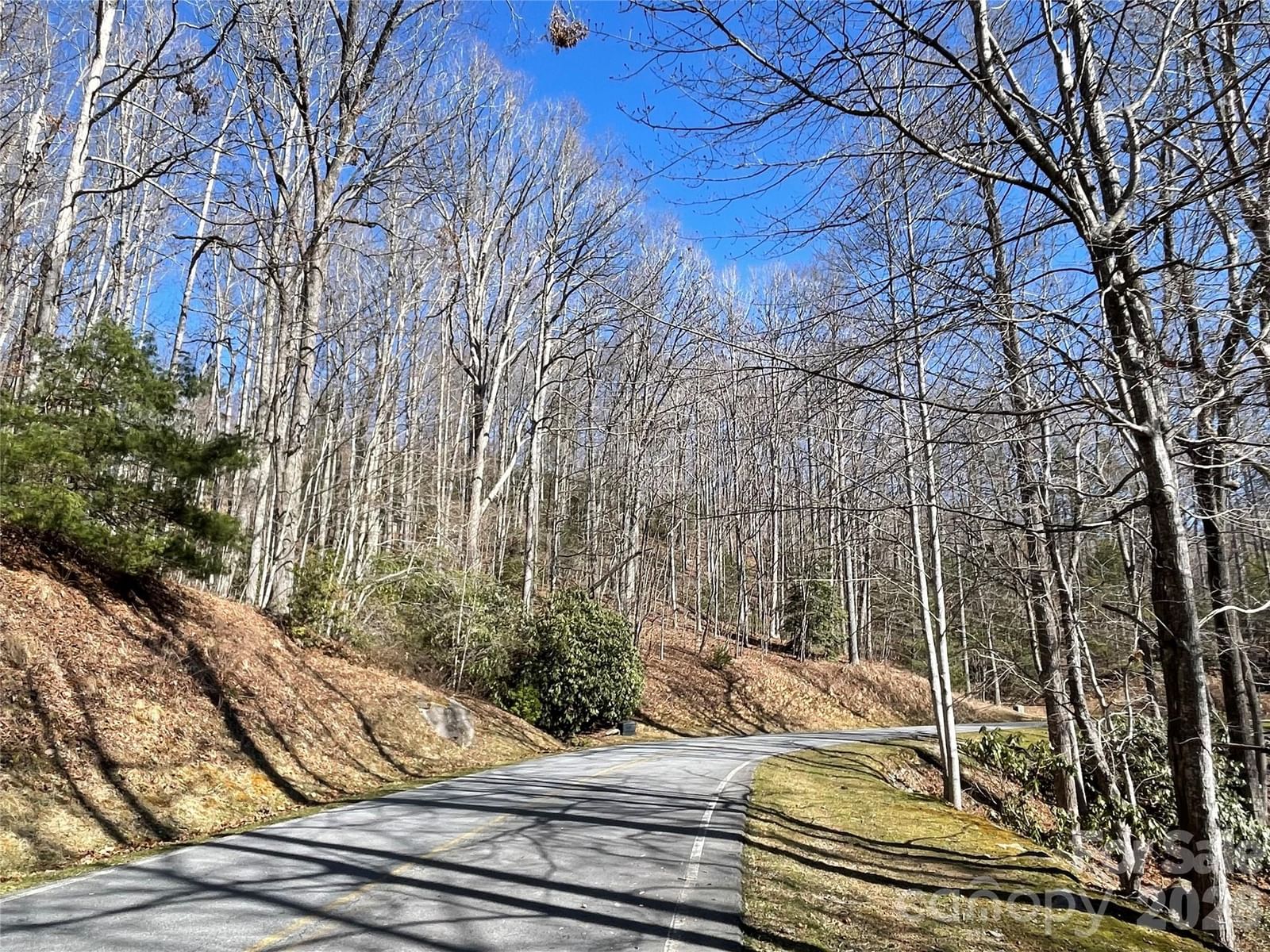 00 Chattooga Run #292R, Hendersonville, NC 28739 - Photo 3