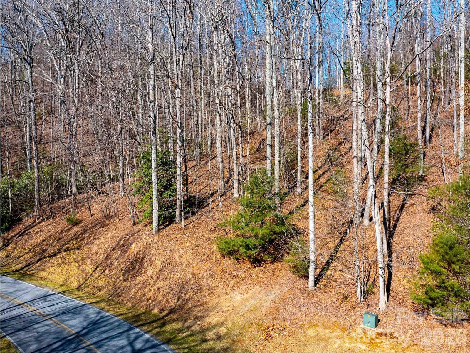 00 Chattooga Run #292R, Hendersonville, NC 28739 - Photo 4