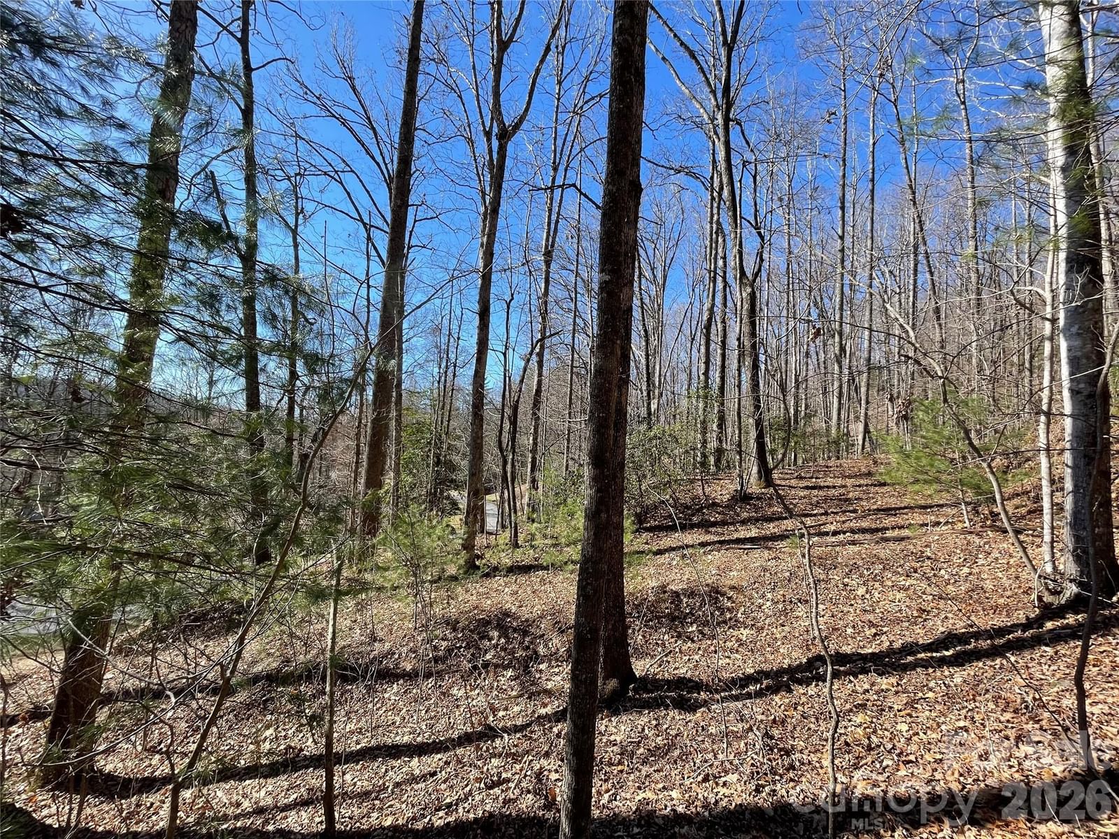 00 Chattooga Run #292R, Hendersonville, NC 28739 - Photo 5