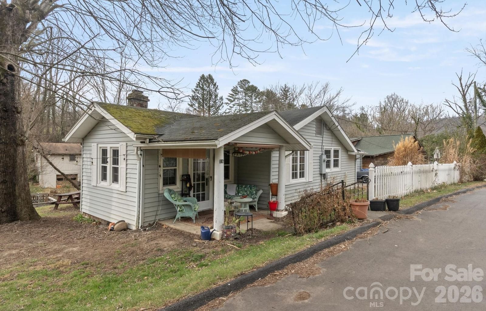 16 Sycamore Street, Asheville, NC 28804 - Photo 3