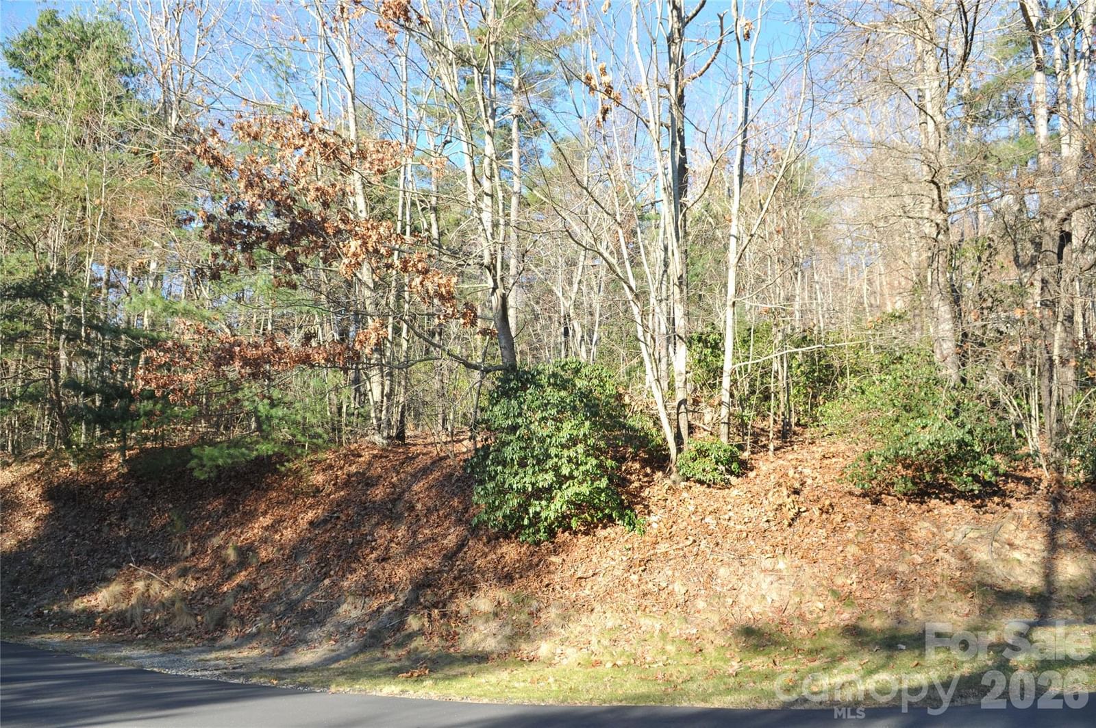 000 Didrikson Way #244, Hendersonville, NC 28739 - Photo 3
