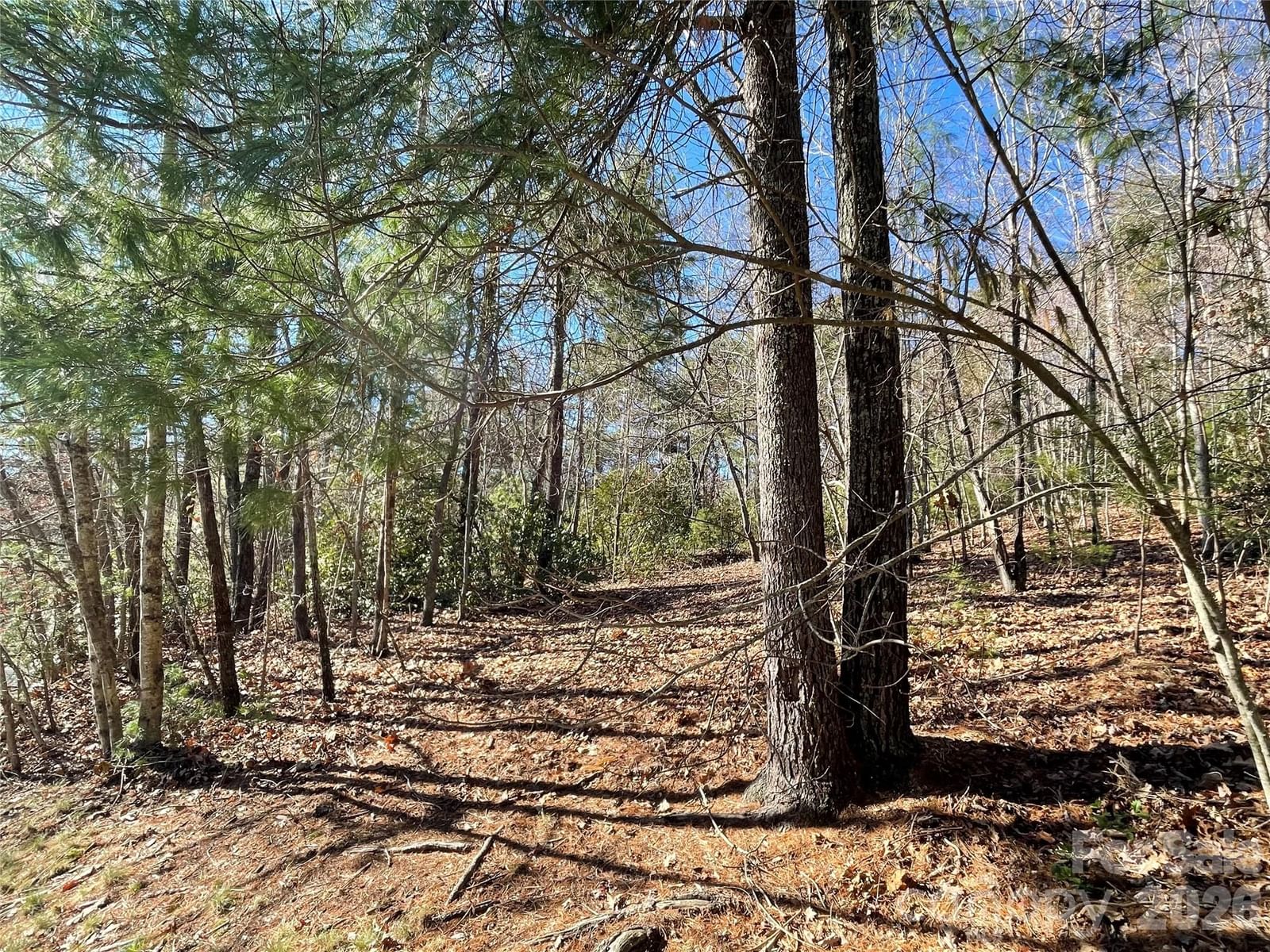 000 Didrikson Way #244, Hendersonville, NC 28739 - Photo 5