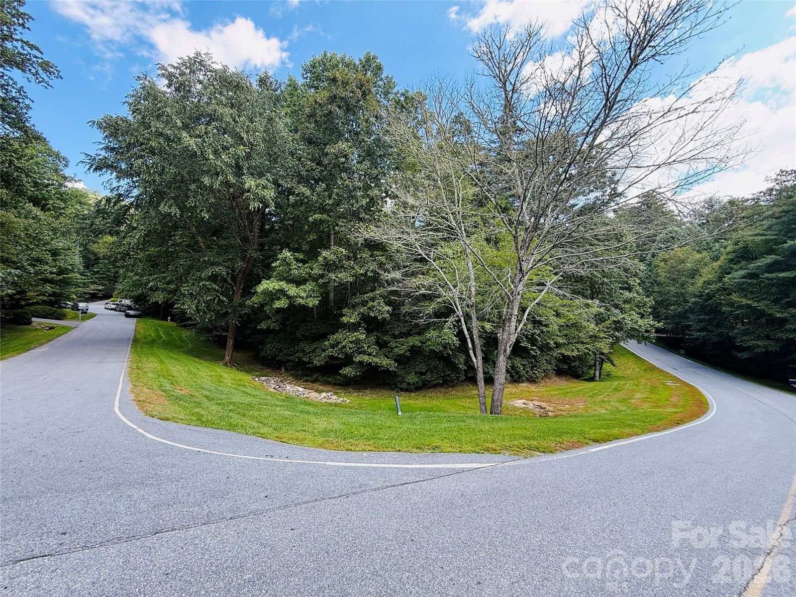 20 Prickly Briar Road, Hendersonville, NC 28739