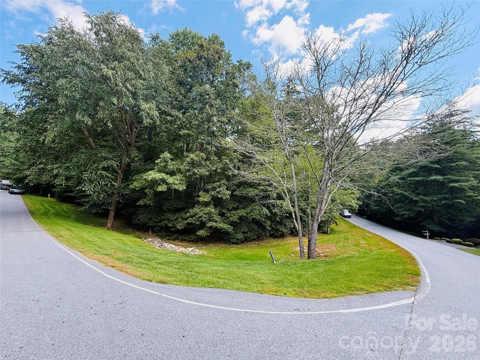 20 Prickly Briar Road, Hendersonville, NC 28739 - Photo 5