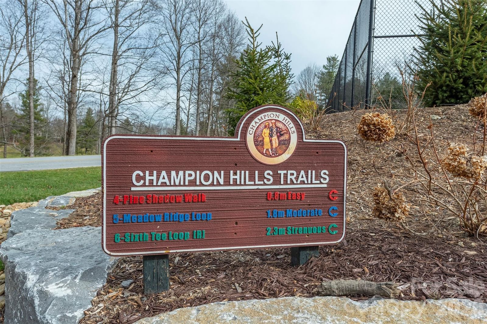 24 Falls Lane #391, Hendersonville, NC 28739 - Photo 2