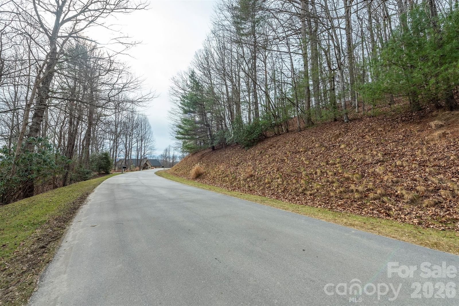 24 Falls Lane #391, Hendersonville, NC 28739 - Photo 4