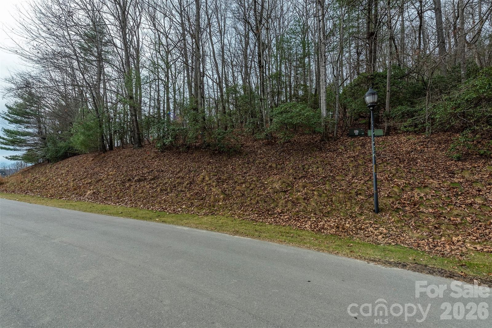 24 Falls Lane #391, Hendersonville, NC 28739 - Photo 5