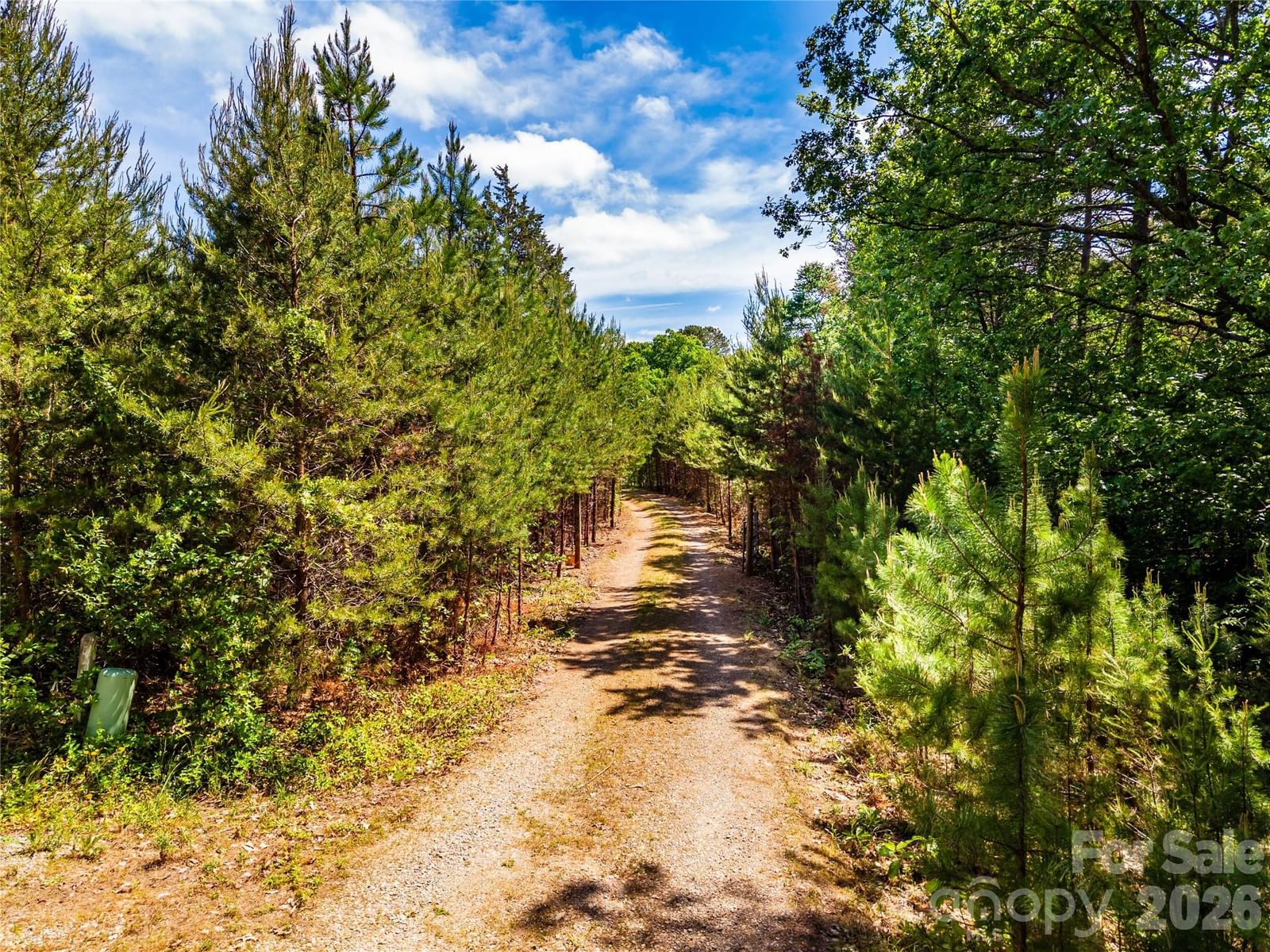 4515 Botany Trail, Maiden, NC 28650 - Photo 3