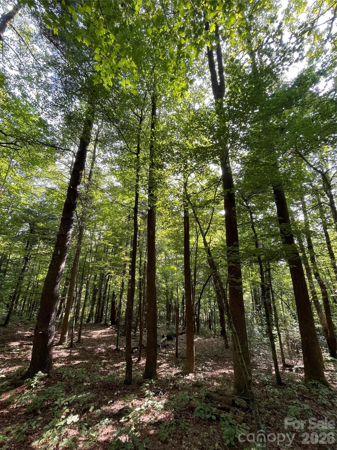 Lot 20 Haverhill Court #20, Flat Rock, NC 28731 - Photo 2