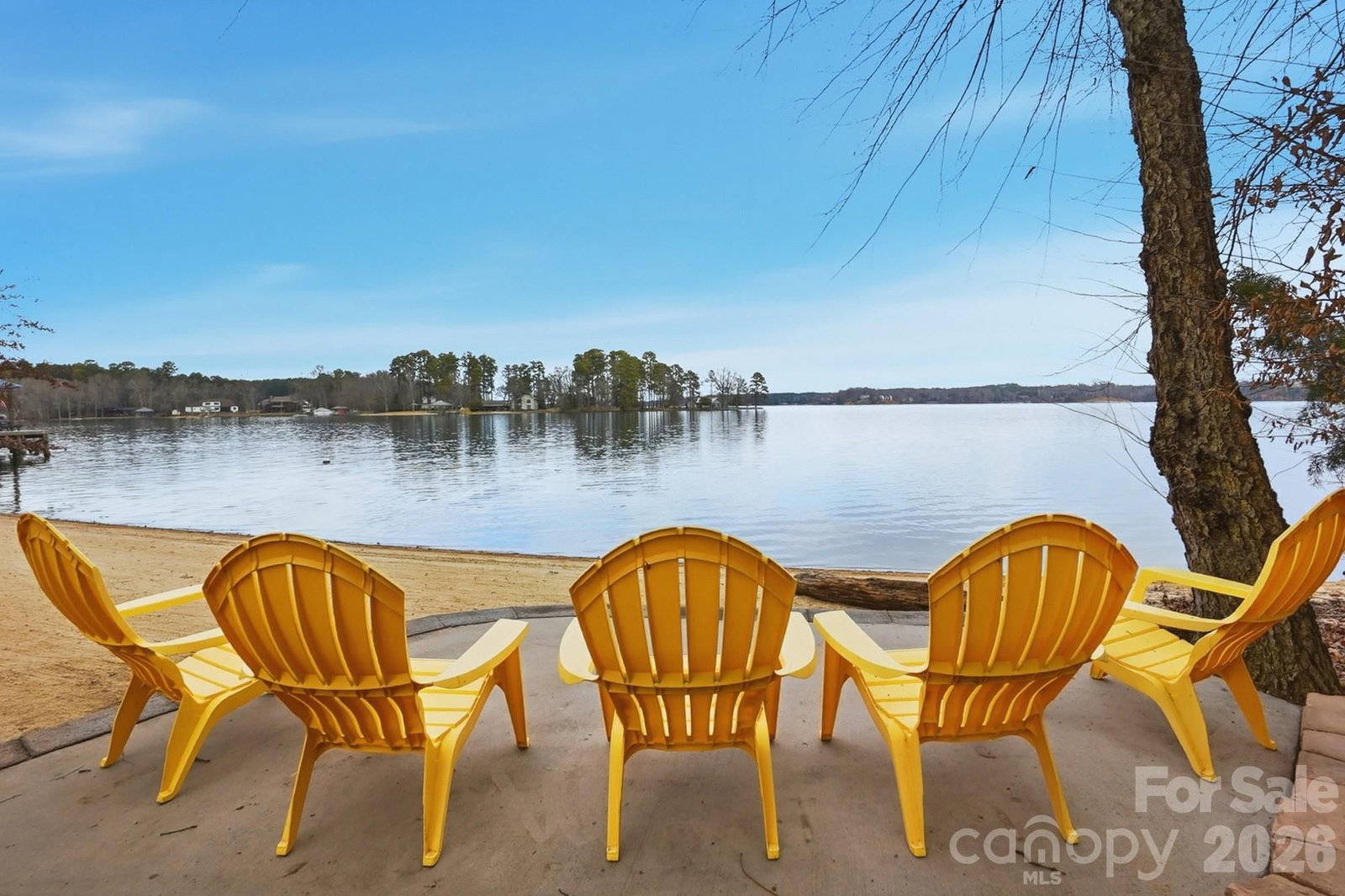 4737 Betty Davis Drive, York, SC 29745 - Photo 2