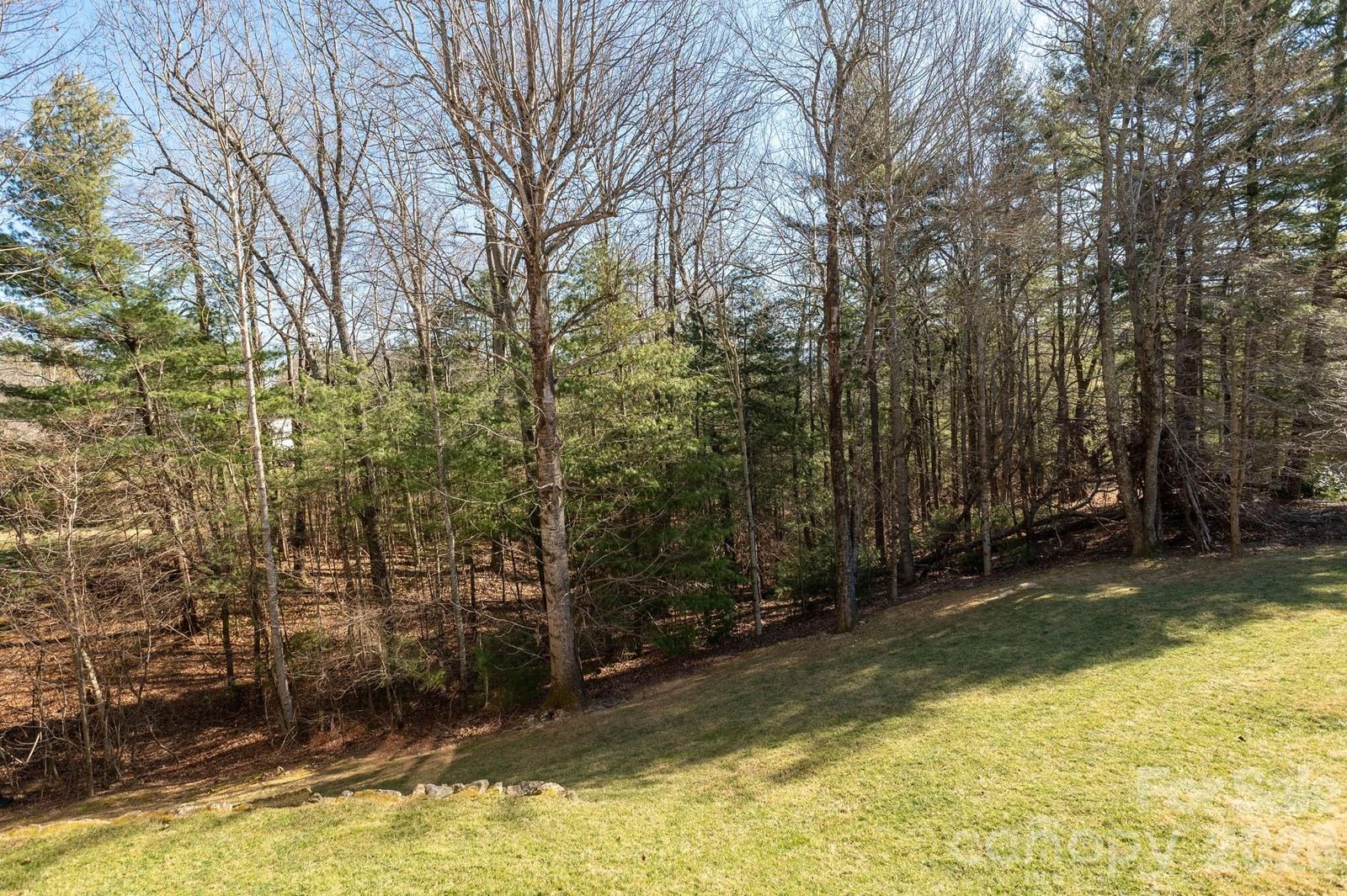 16 WINTERBERRY Drive, Hendersonville, NC 28739 - Photo 3