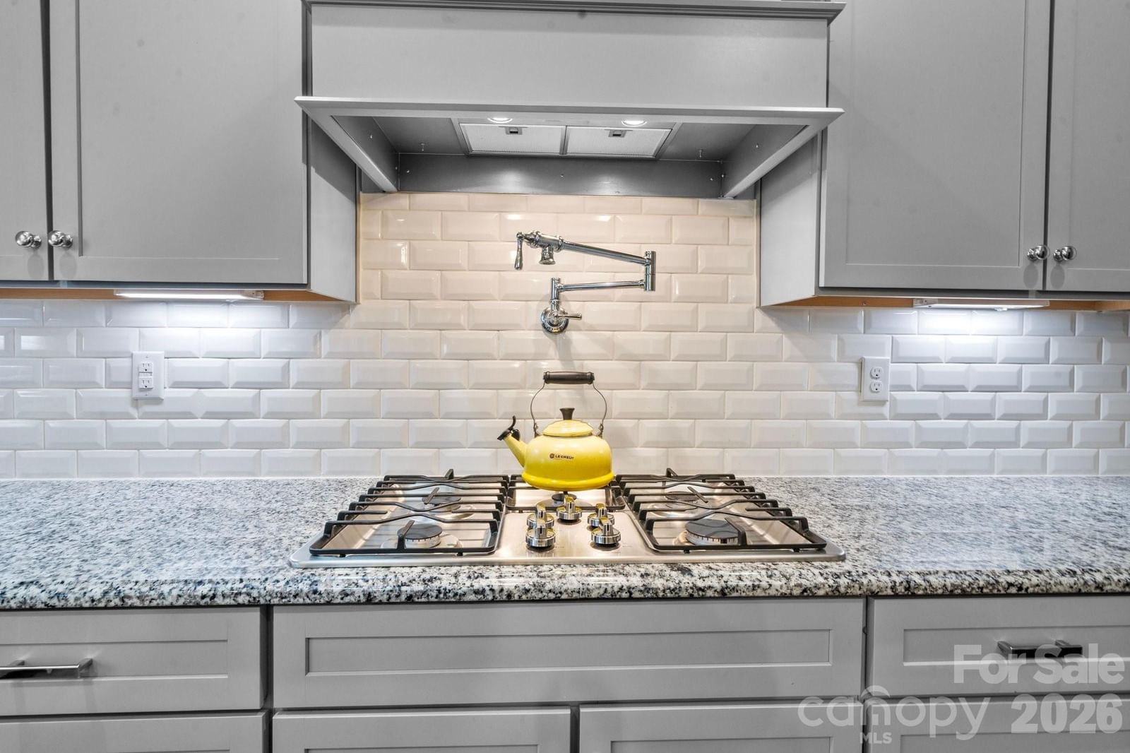 4008 Pinot Way, Fort Mill, SC 29707 - Photo 5