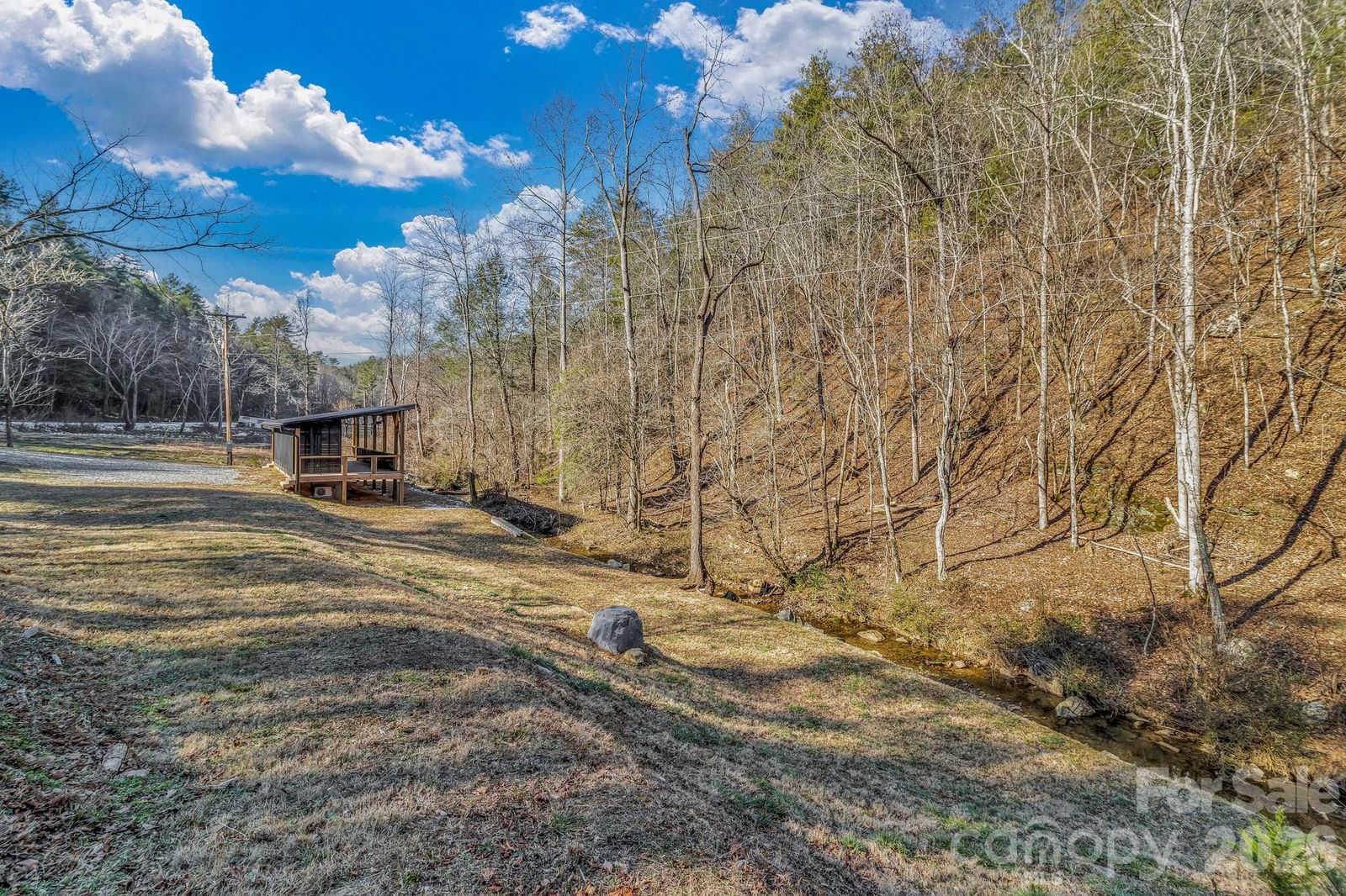 1115 Paint Rock Road, Hot Springs, NC 28743 - Photo 3