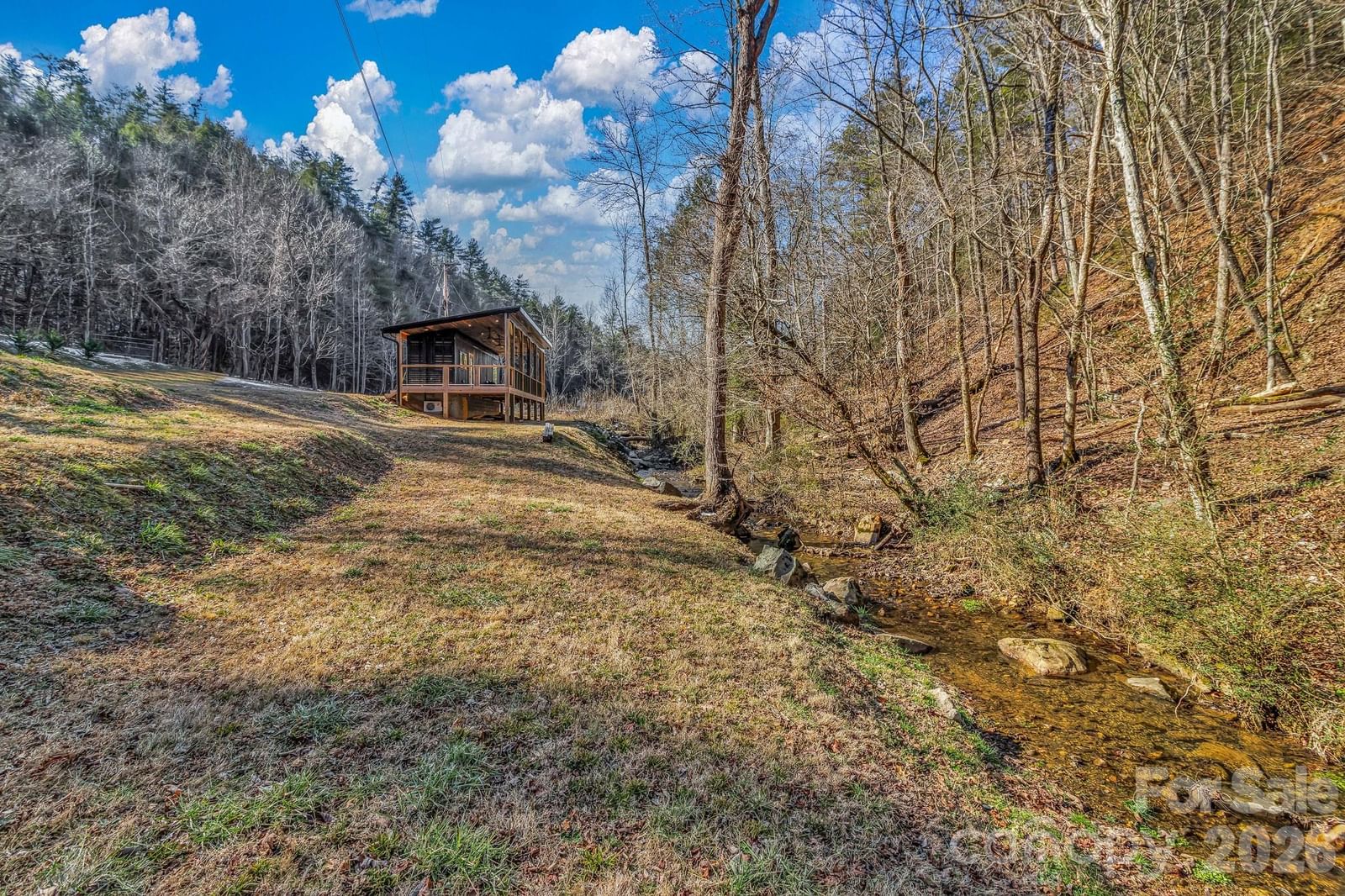 1115 Paint Rock Road, Hot Springs, NC 28743 - Photo 4
