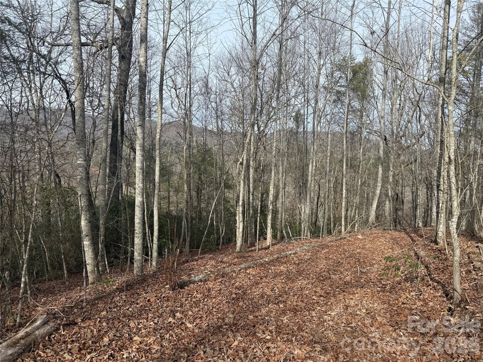 Lot 10, 11 River Run Run, Franklin, NC 28734 - Photo 2