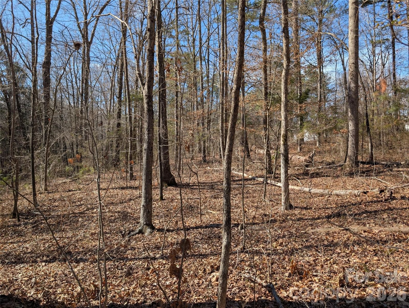 Property at 489 & 491 Mimosa Road #3 & 9, Rock Hill, SC 29730