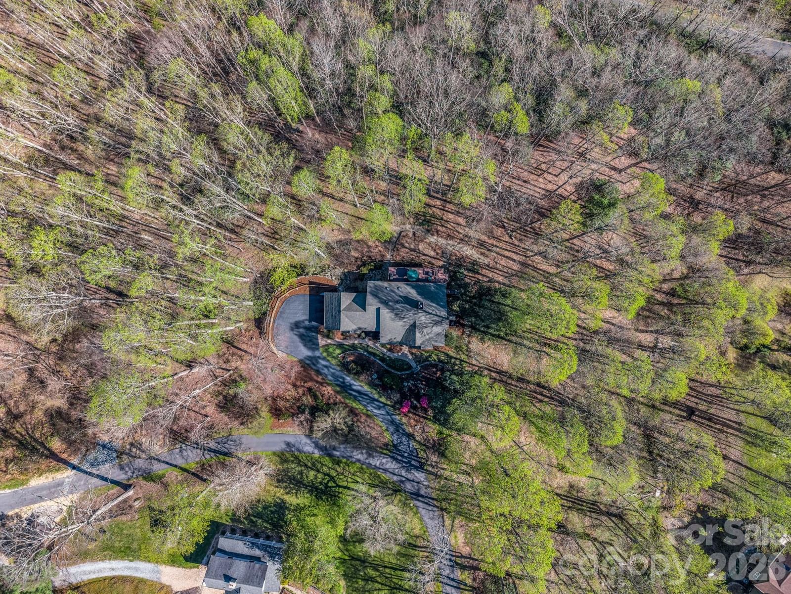 140 Mount Hebron Road, Hendersonville, NC 28739 - Photo 5