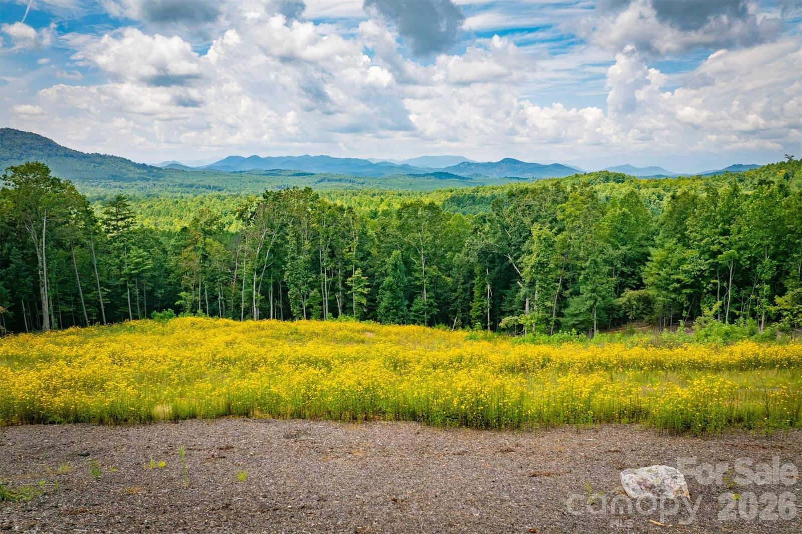 463 Summit Trail, Nebo, NC 28761 - Photo 4