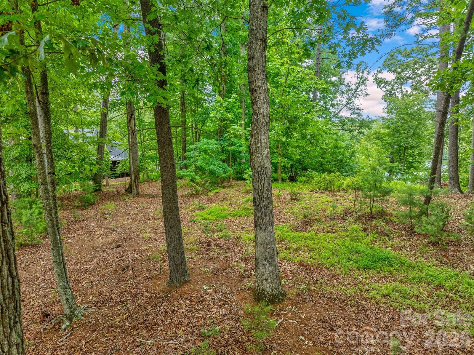 17 Hendrickson Court, Candler, NC 28715 - Photo 5