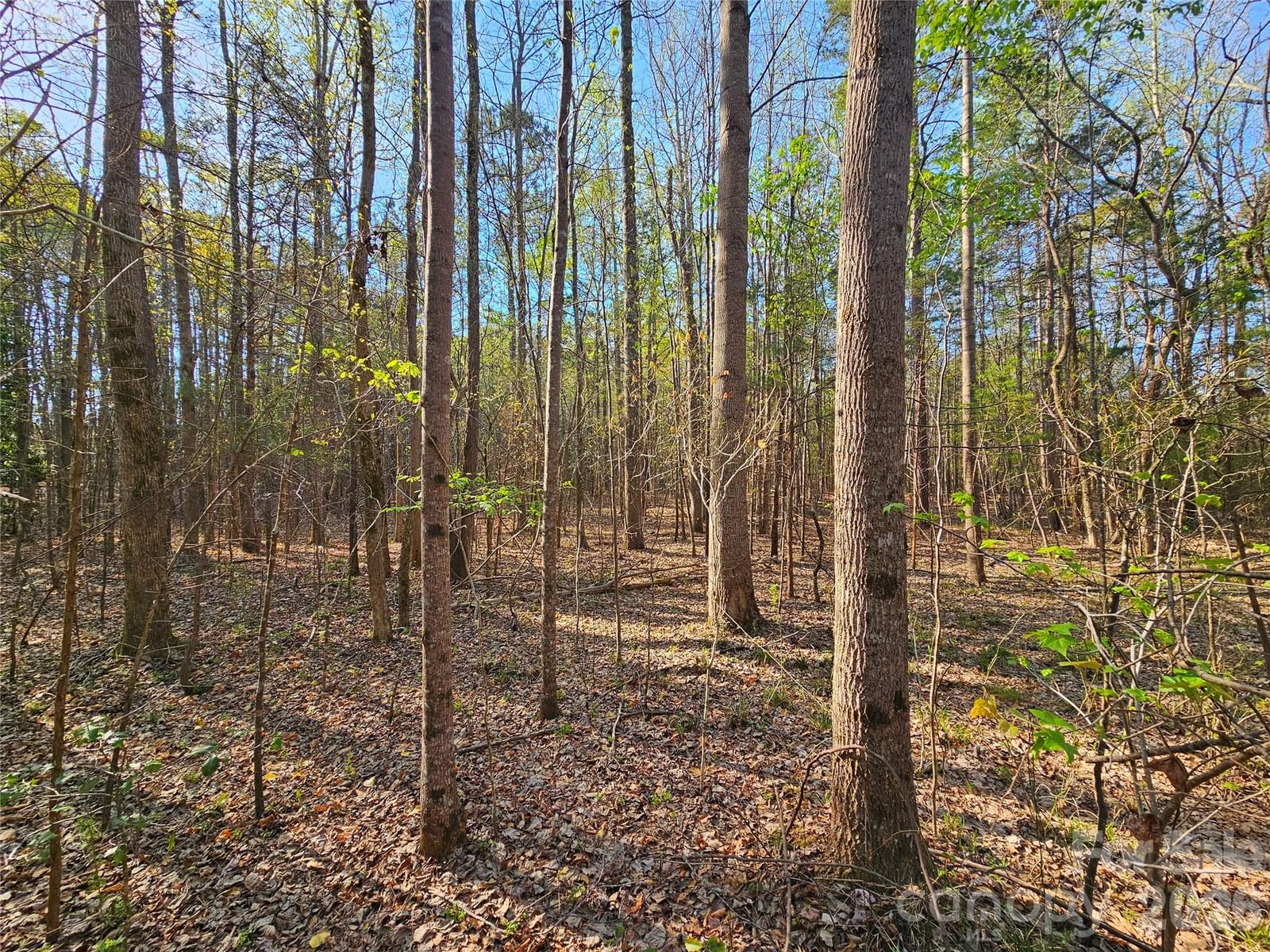 Property at Lot 10 Elliott, Richburg, SC 29729