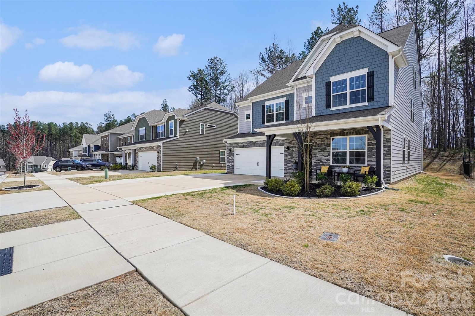 310 Hamptons Cove Road, Troutman, NC 28166 - Photo 4