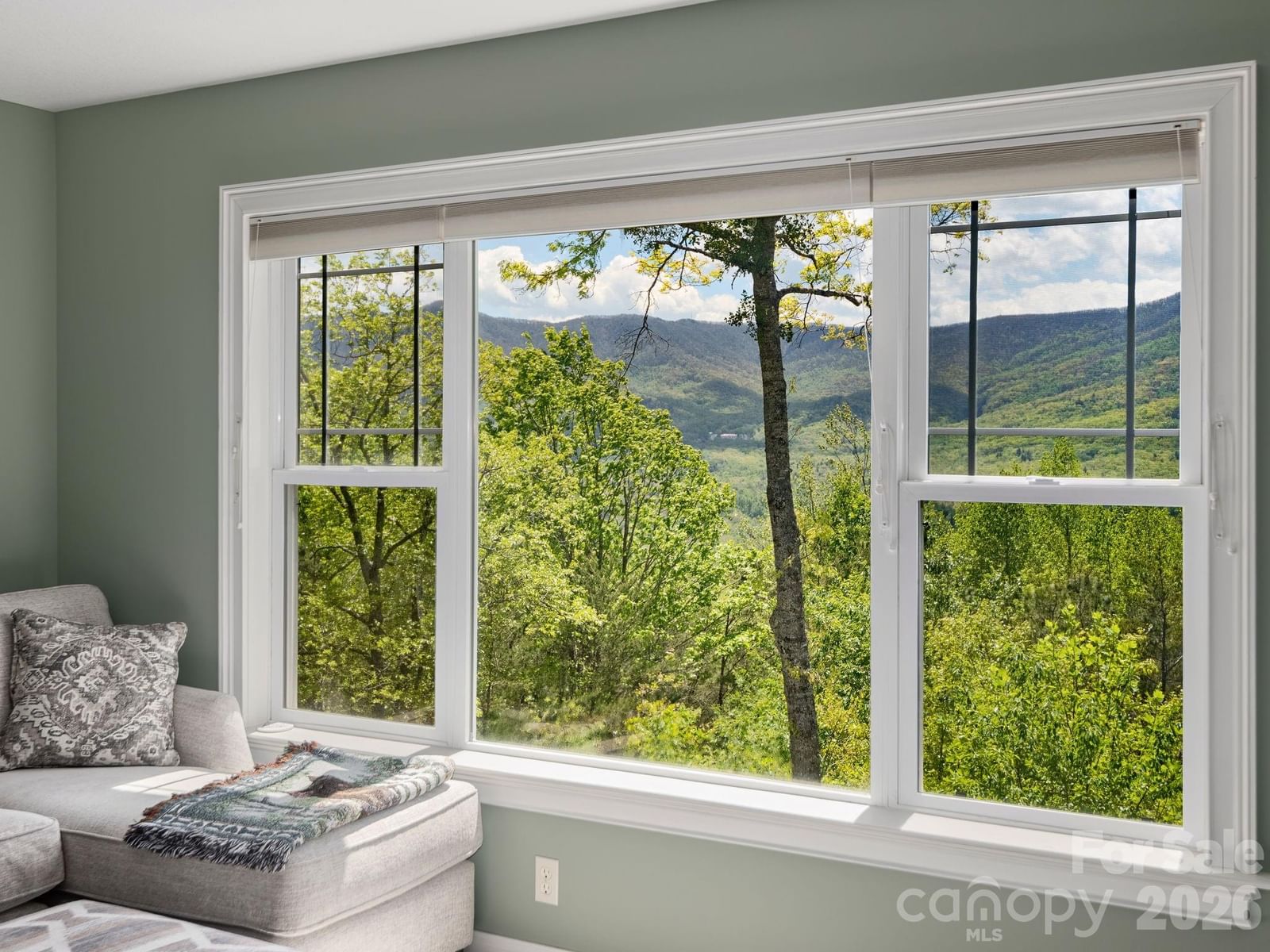 43 Galax Lane, Black Mountain, NC 28711 - Photo 5