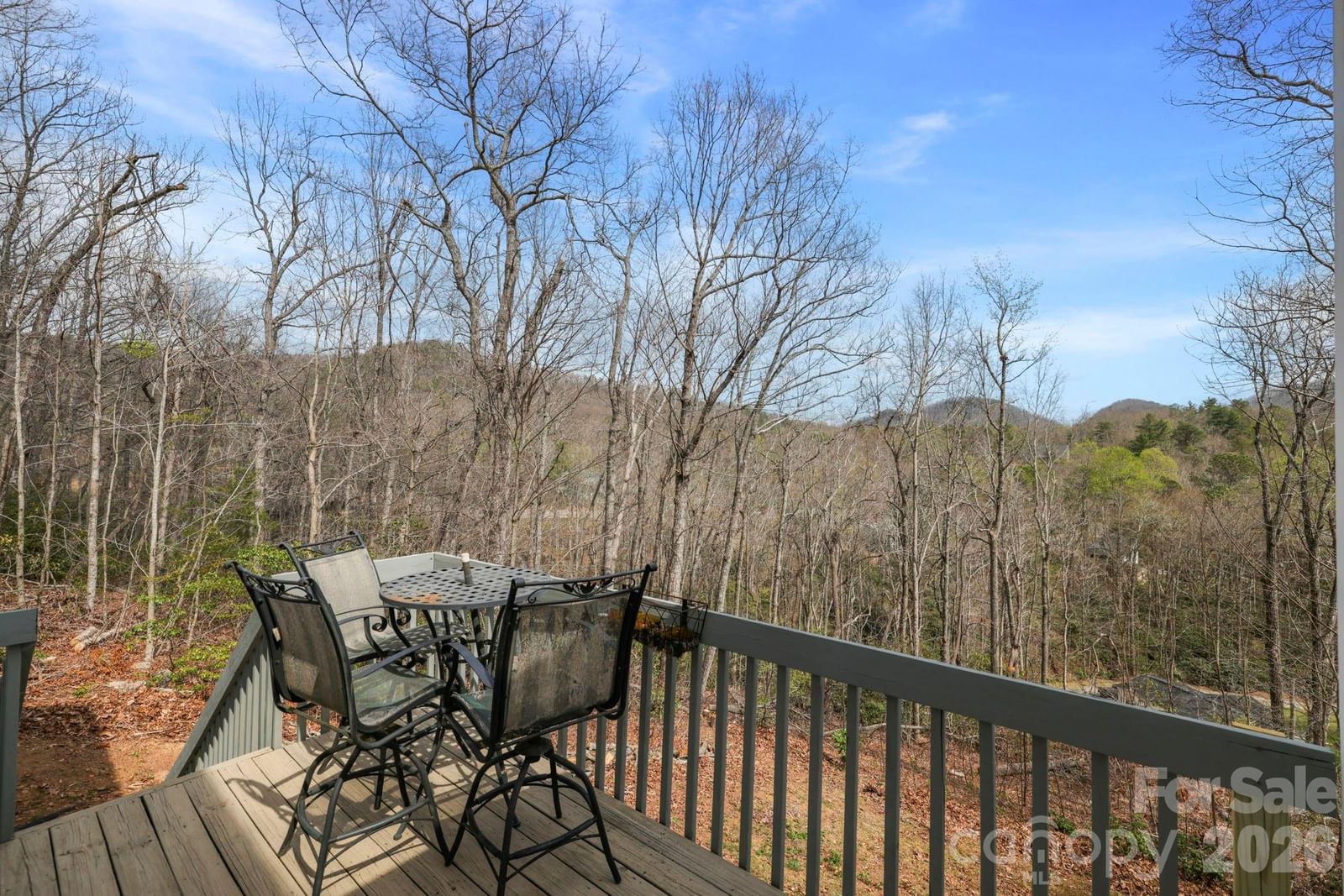 11 Starlight Drive, Black Mountain, NC 28711 - Photo 5