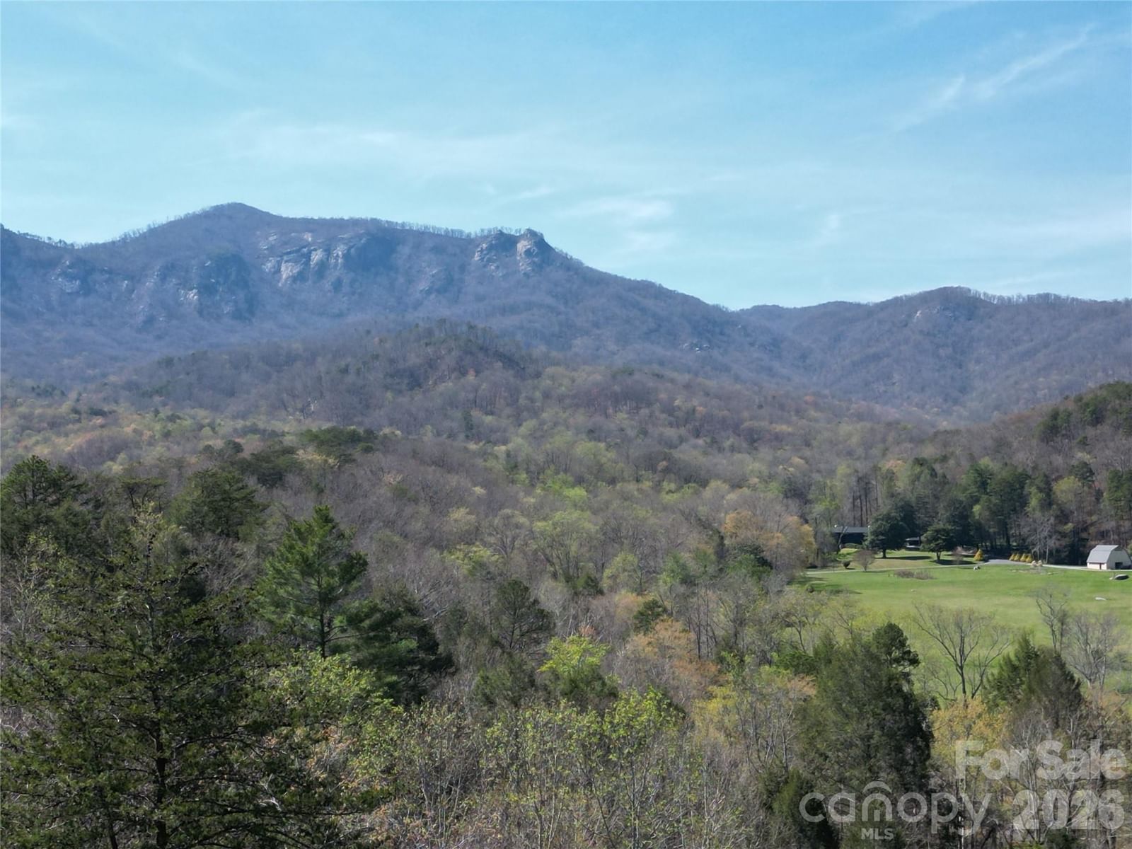 210 Fork Drive, Lake Lure, NC 28746 - Photo 5