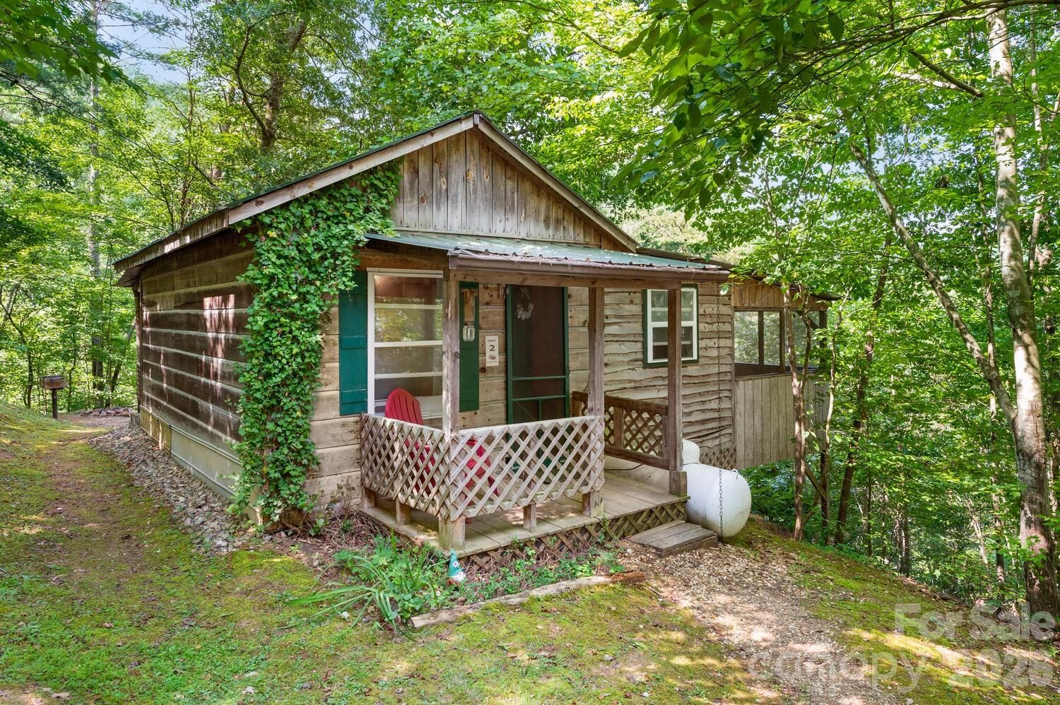 264 Rebel Drive, Hot Springs, NC 28743