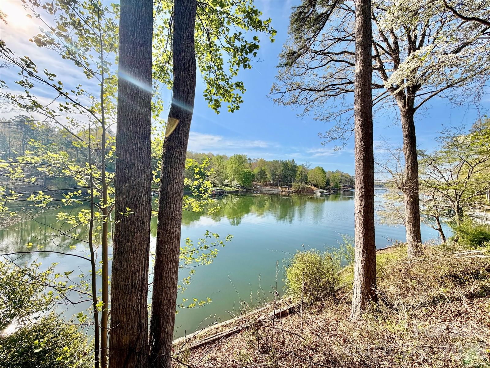 340 Crappie Hollow Lane, Taylorsville, NC 28681 - Photo 4