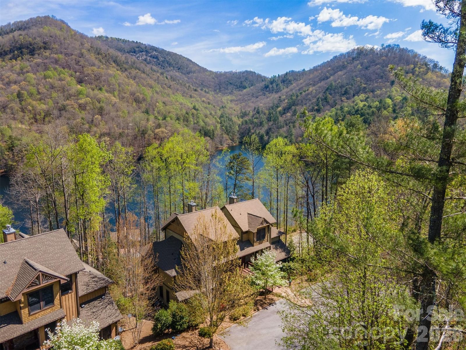 103 Southshore Drive #B4, Tuckasegee, NC 28783 - Photo 4