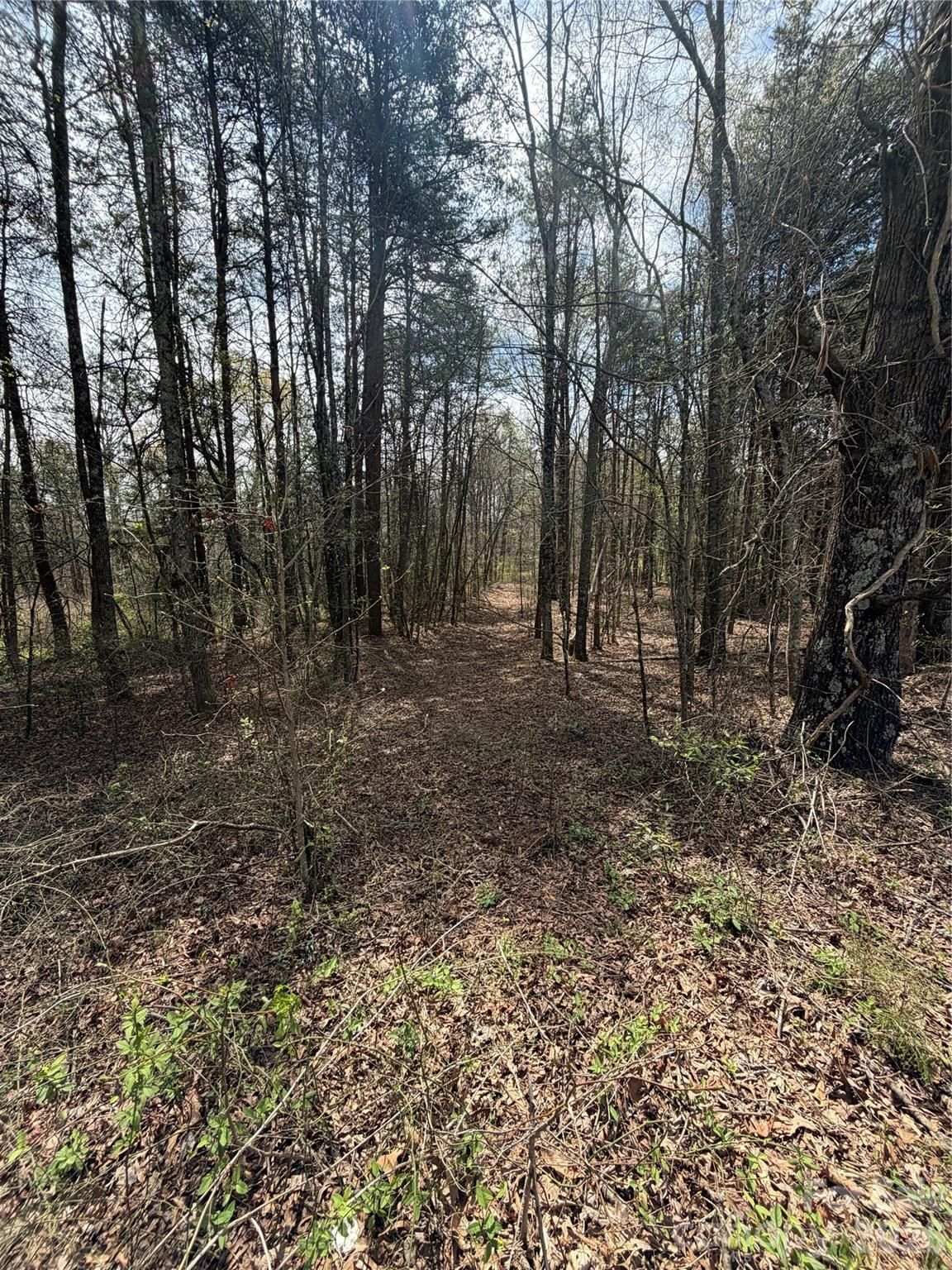 Property at 5495 Bucks Garage, Maiden, NC 28650