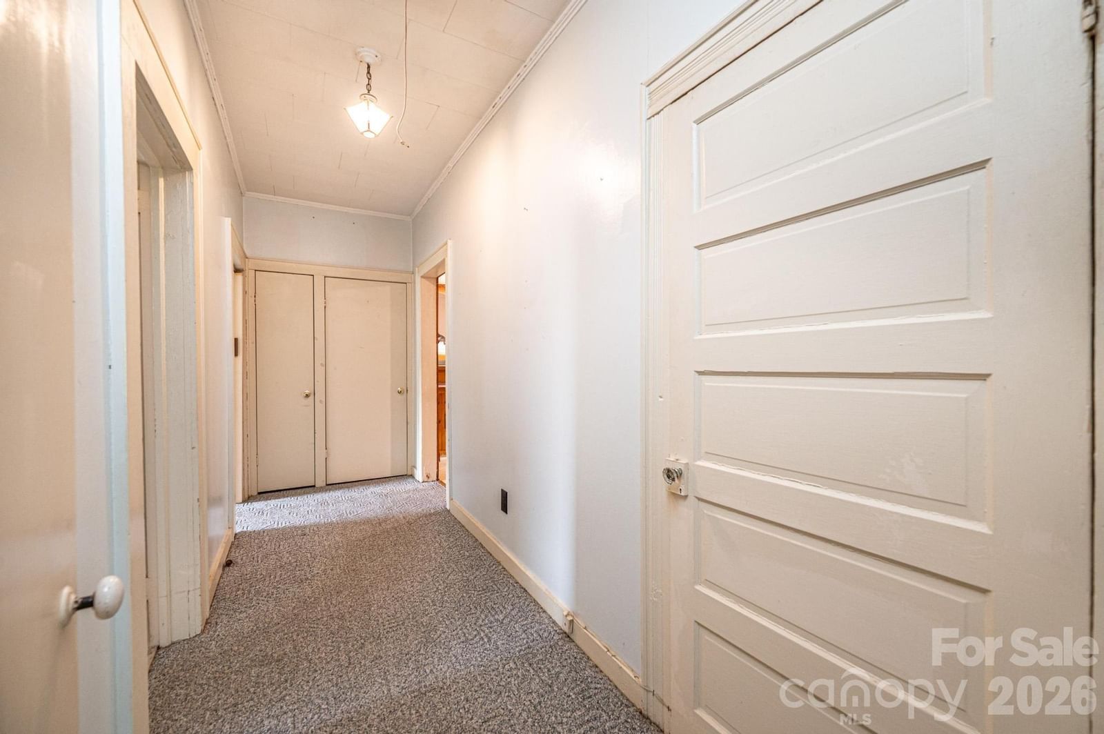 335 Harmon Street, Forest City, NC 28043 - Photo 4