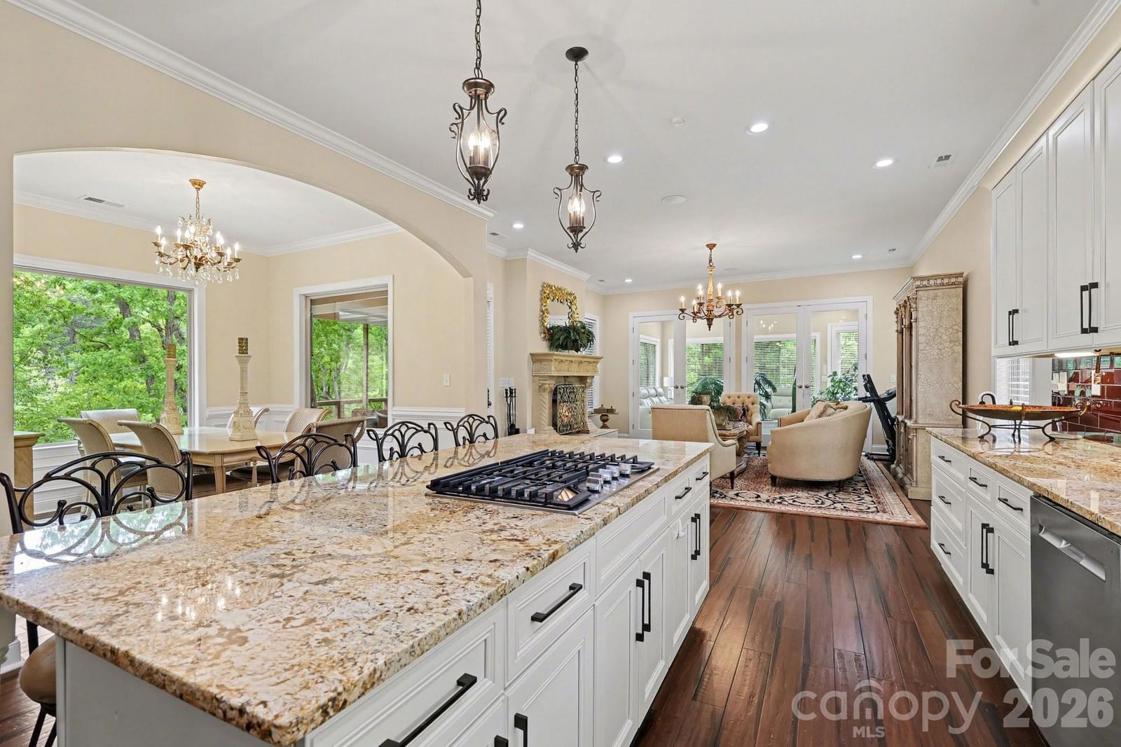 1629 Healing Springs Drive, Denton, NC 27239 - Photo 5